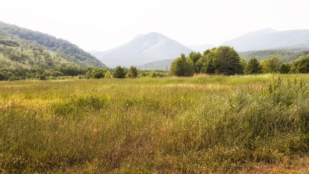 Flora of Kamchatka. Forests and fields. Nature of Kamchatka. Landscapes and magnificent views of the Kamchatka Peninsula.
