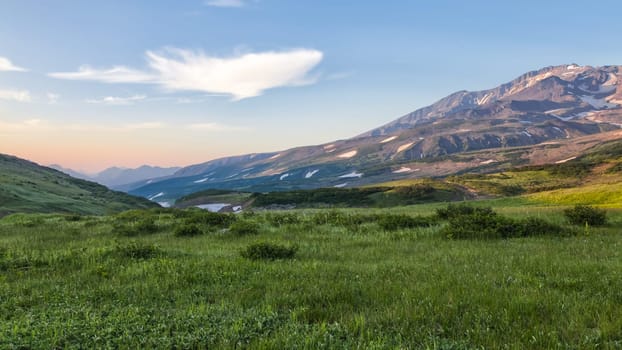 Flora of Kamchatka. Forests and fields. Nature of Kamchatka. Landscapes and magnificent views of the Kamchatka Peninsula.