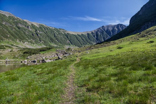 Flora of Kamchatka. Forests and fields. Nature of Kamchatka. Landscapes and magnificent views of the Kamchatka Peninsula.