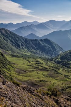 Flora of Kamchatka. Forests and fields. Nature of Kamchatka. Landscapes and magnificent views of the Kamchatka Peninsula.