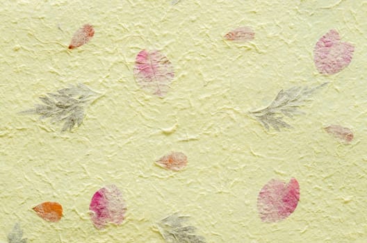 Yellow mulberry paper with petal and leaf texture used for a background.