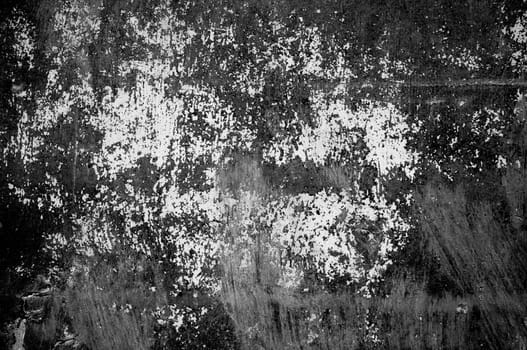 Old wood background texture.