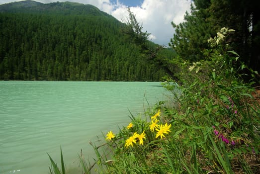 Beautiful mountain landscape near the lake. Mountain Lake. Kind of mountainous terrain and the water in the valley.