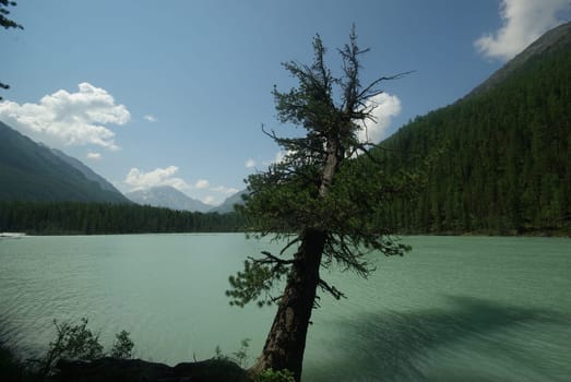 Beautiful mountain landscape near the lake. Mountain Lake. Kind of mountainous terrain and the water in the valley.