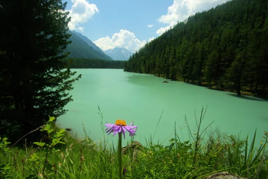 Beautiful mountain landscape near the lake. Mountain Lake. Kind of mountainous terrain and the water in the valley.