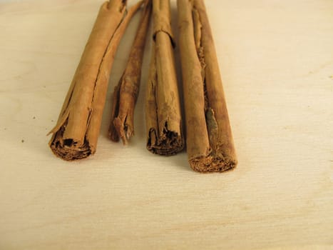 Dried cinnamon sticks of Ceylon cinnamon