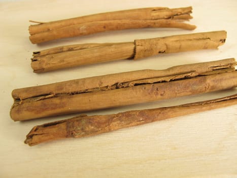 Dried cinnamon sticks of Ceylon cinnamon