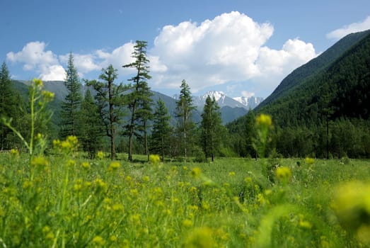 Mountain landscape. Highlands, the mountain peaks, gorges and valleys. The stones on the slopes.