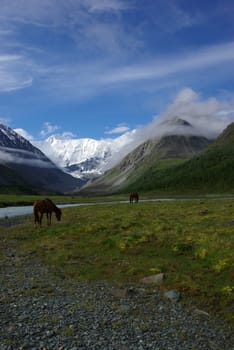 Mountain landscape. Highlands, the mountain peaks, gorges and valleys. The stones on the slopes.