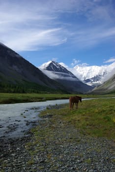 Mountain landscape. Highlands, the mountain peaks, gorges and valleys. The stones on the slopes.