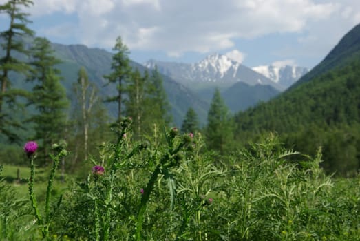 Mountain landscape. Highlands, the mountain peaks, gorges and valleys. The stones on the slopes.