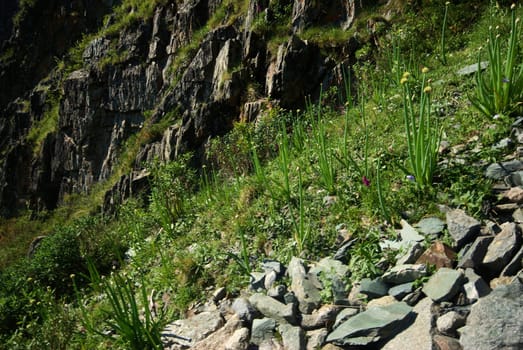 Mountain landscape. Highlands, the mountain peaks, gorges and valleys. The stones on the slopes.