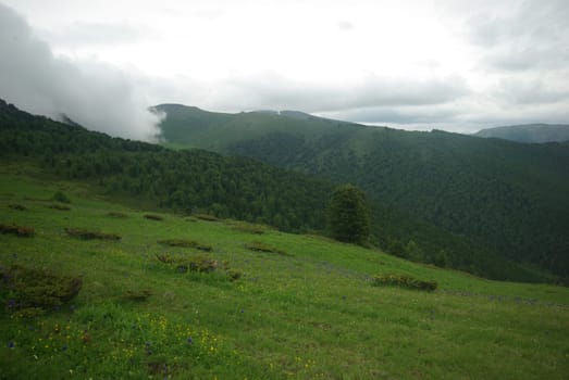 Mountain landscape. Highlands, the mountain peaks, gorges and valleys. The stones on the slopes.