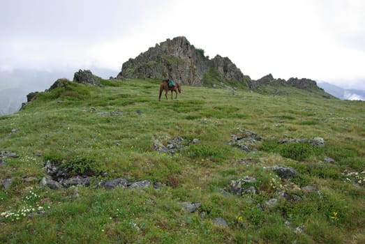 Mountain landscape. Highlands, the mountain peaks, gorges and valleys. The stones on the slopes.