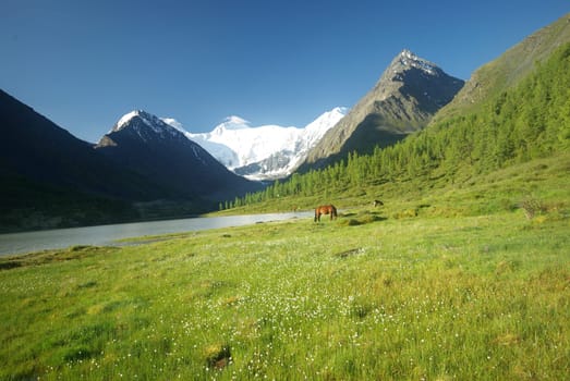 Mountain landscape. Highlands, the mountain peaks, gorges and valleys. The stones on the slopes.