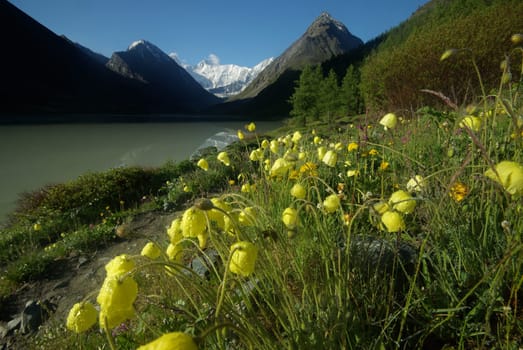 Mountain landscape. Highlands, the mountain peaks, gorges and valleys. The stones on the slopes.