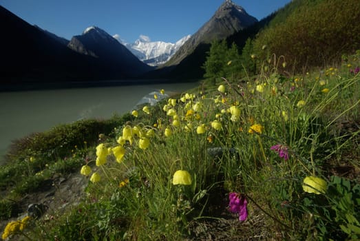 Mountain landscape. Highlands, the mountain peaks, gorges and valleys. The stones on the slopes.