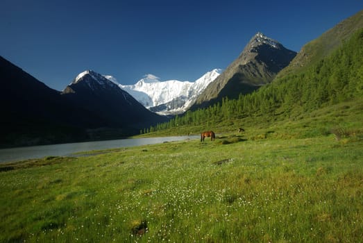 Mountain landscape. Highlands, the mountain peaks, gorges and valleys. The stones on the slopes.