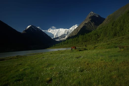 Mountain landscape. Highlands, the mountain peaks, gorges and valleys. The stones on the slopes.