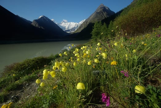 Mountain landscape. Highlands, the mountain peaks, gorges and valleys. The stones on the slopes.