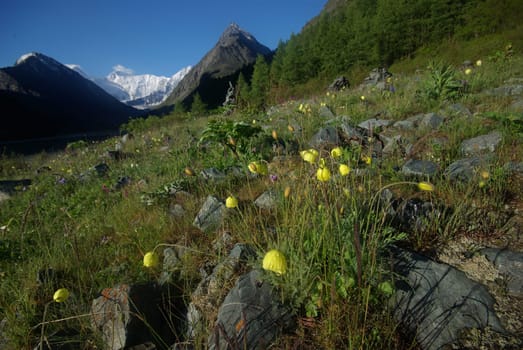 Mountain landscape. Highlands, the mountain peaks, gorges and valleys. The stones on the slopes.