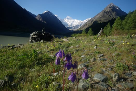 Mountain landscape. Highlands, the mountain peaks, gorges and valleys. The stones on the slopes.