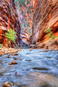 Virgin River in Zion national parc, Utah, Southwest, USA