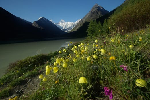 Mountain landscape. Highlands, the mountain peaks, gorges and valleys. The stones on the slopes.