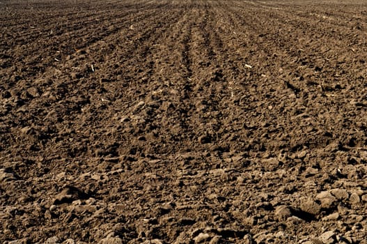 Plowed black soil in agricultural field