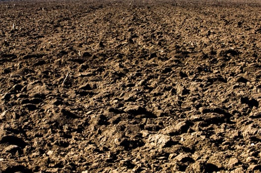 Plowed black soil in agricultural field