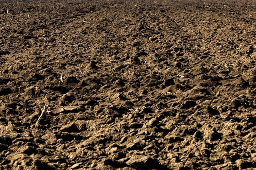 Plowed black soil in agricultural field