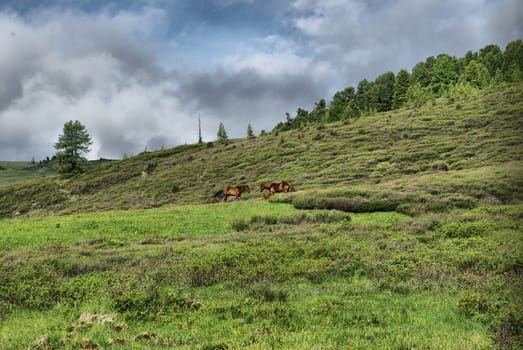 Mountain landscape. Highlands, the mountain peaks, gorges and valleys. The stones on the slopes.