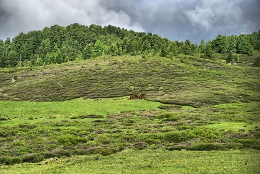 Mountain landscape. Highlands, the mountain peaks, gorges and valleys. The stones on the slopes.