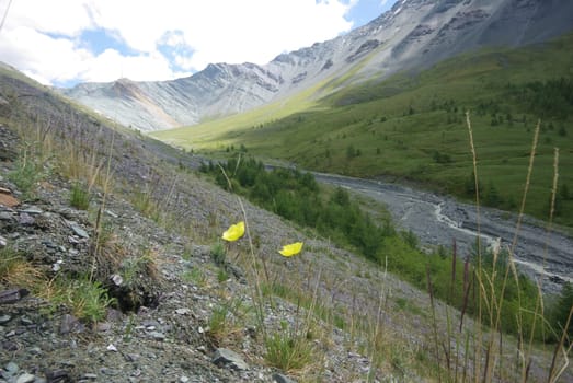 Mountain landscape. Highlands, the mountain peaks, gorges and valleys. The stones on the slopes.