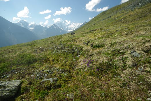 Mountain landscape. Highlands, the mountain peaks, gorges and valleys. The stones on the slopes.