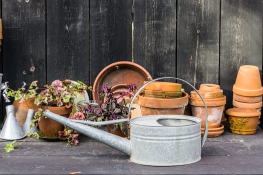 romantic idyllic plant table in the garden with old retro flower pot pots, garden tools and plants. Rustic table with flower pots, potting soil, trowel and plants