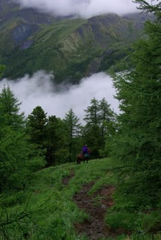 Mountain landscape. Highlands, the mountain peaks, gorges and valleys. The stones on the slopes.