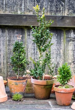 romantic idyllic plant table in the garden with old retro flower pot pots, garden tools and plants. Rustic table with flower pots, potting soil, trowel and plants