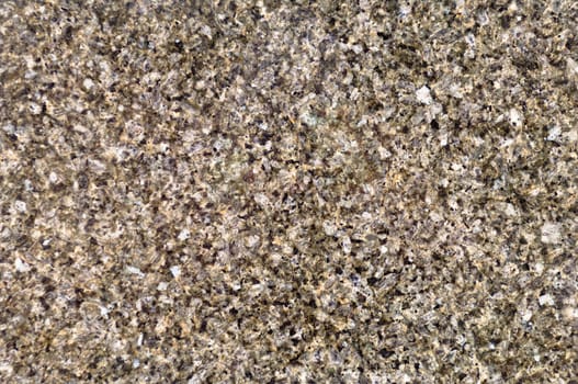 Polished magmatic or metamorphic rock cross section as background