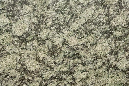 Polished magmatic or metamorphic rock cross section as background