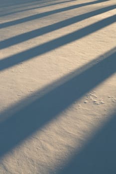 Shadows in Snow in winter time.