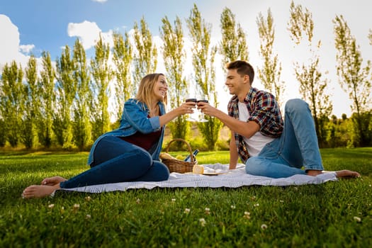 Shot of a beautiful couple on a picnic and making a toast