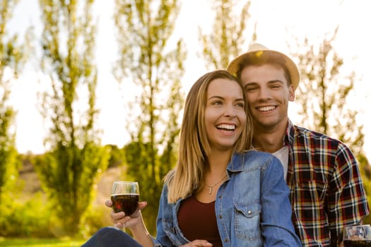 Shot of a beautiful couple on a picnic and making a toast