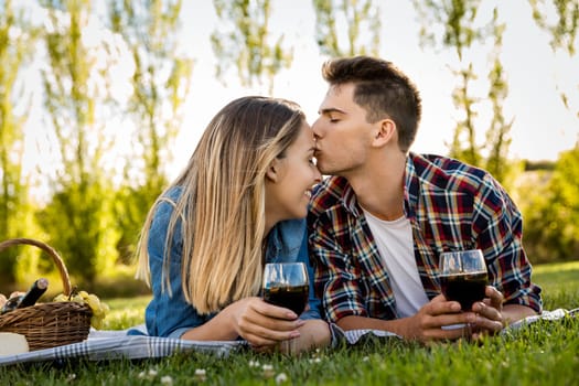Shot of a beautiful couple on a picnic and making a toast