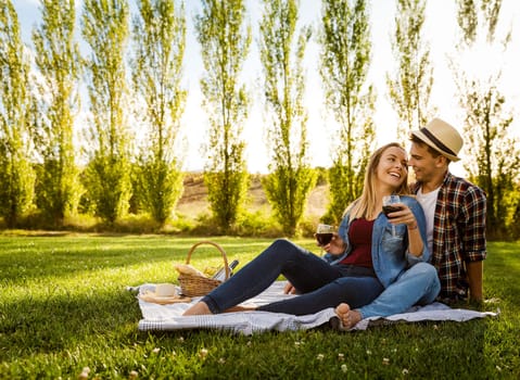 Shot of a beautiful couple on a picnic and making a toast