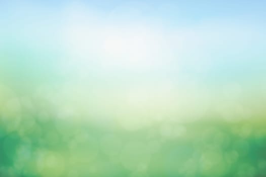 Sunny green meadow natural bokeh background