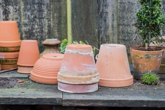 romantic idyllic plant table in the garden with old retro flower pot pots, garden tools and plants. Rustic table with flower pots, potting soil, trowel and plants