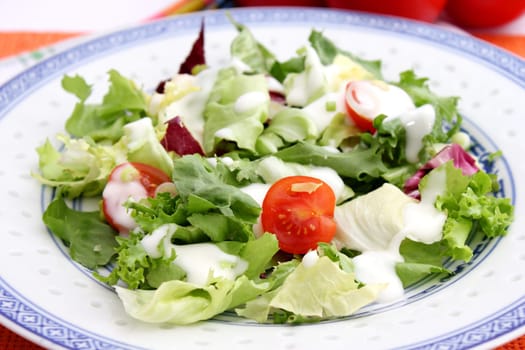 fresh salad