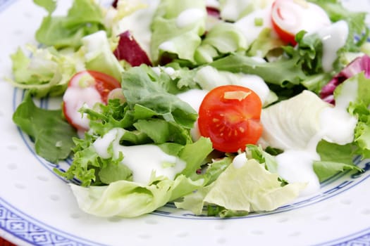 fresh salad