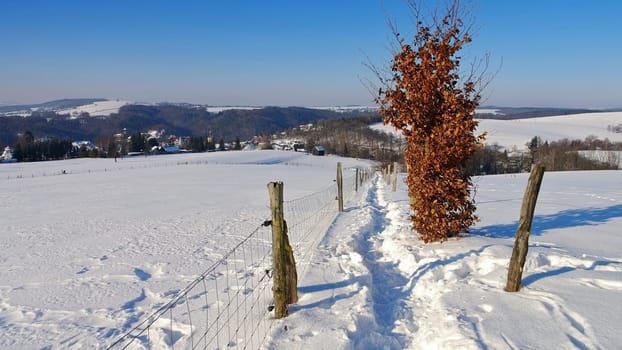 Hohnstein in winter,Saxon Switzerland - the town Hohnstein in winter,Elbe Sandstone Mountains